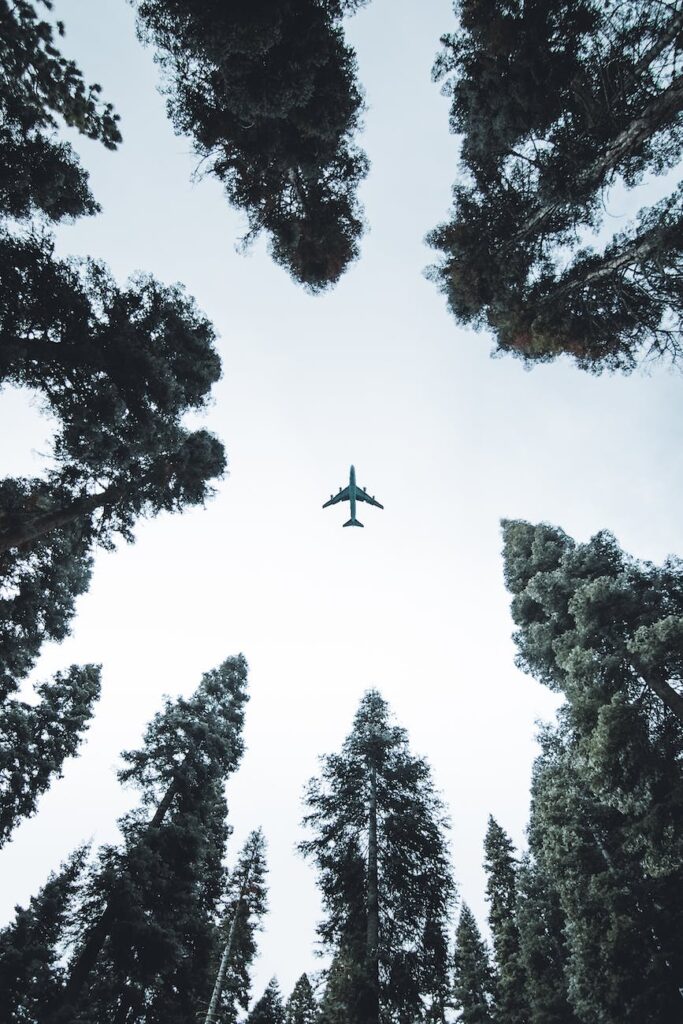 low angle photo of airplane