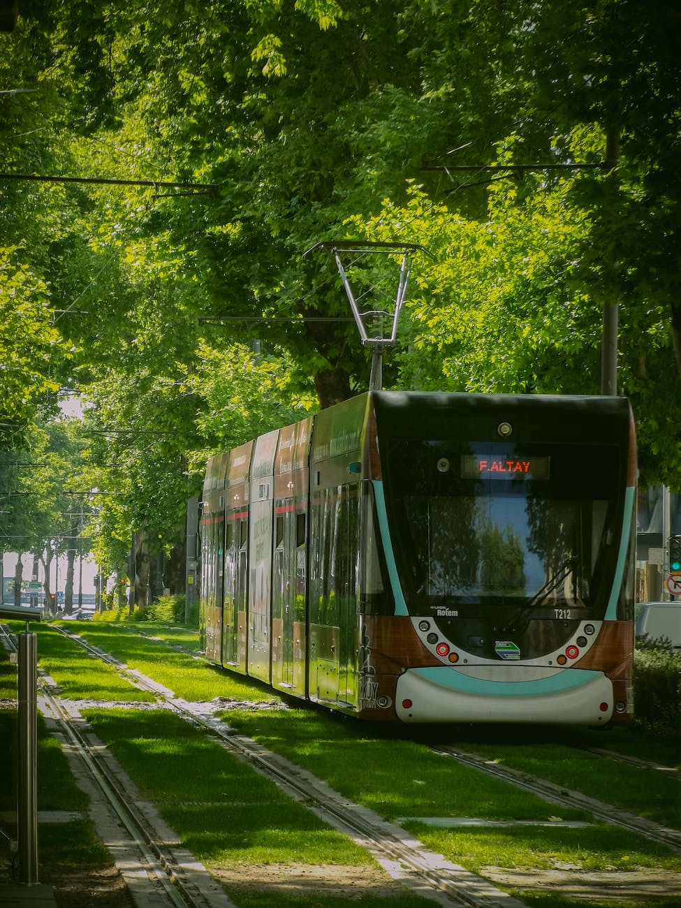 cable car among lush foliage